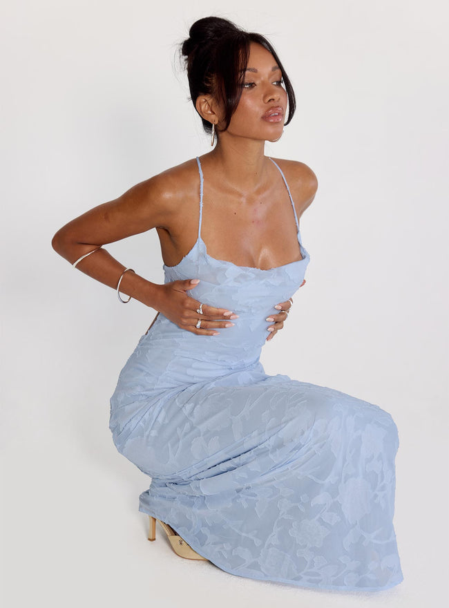 Celena Maxi Dress Blue Burnout Hover Image